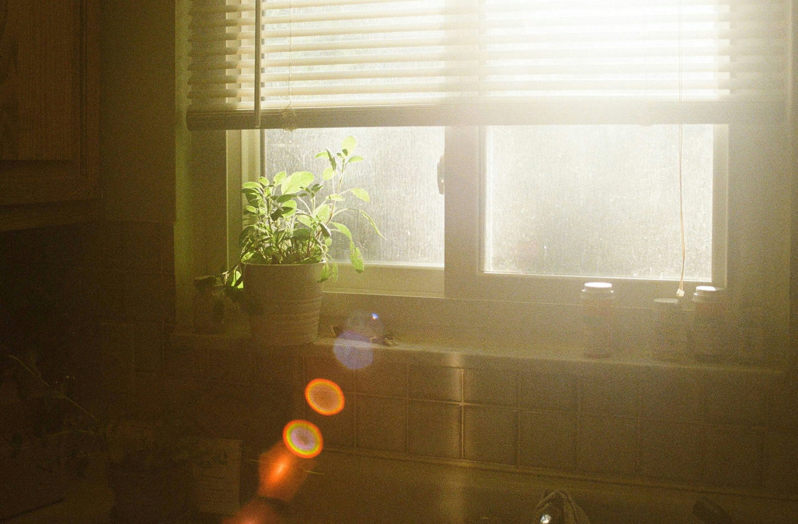 The Melbourne Spring Cleaning Checklist: Room-by-Room Guide for a Fresh Start