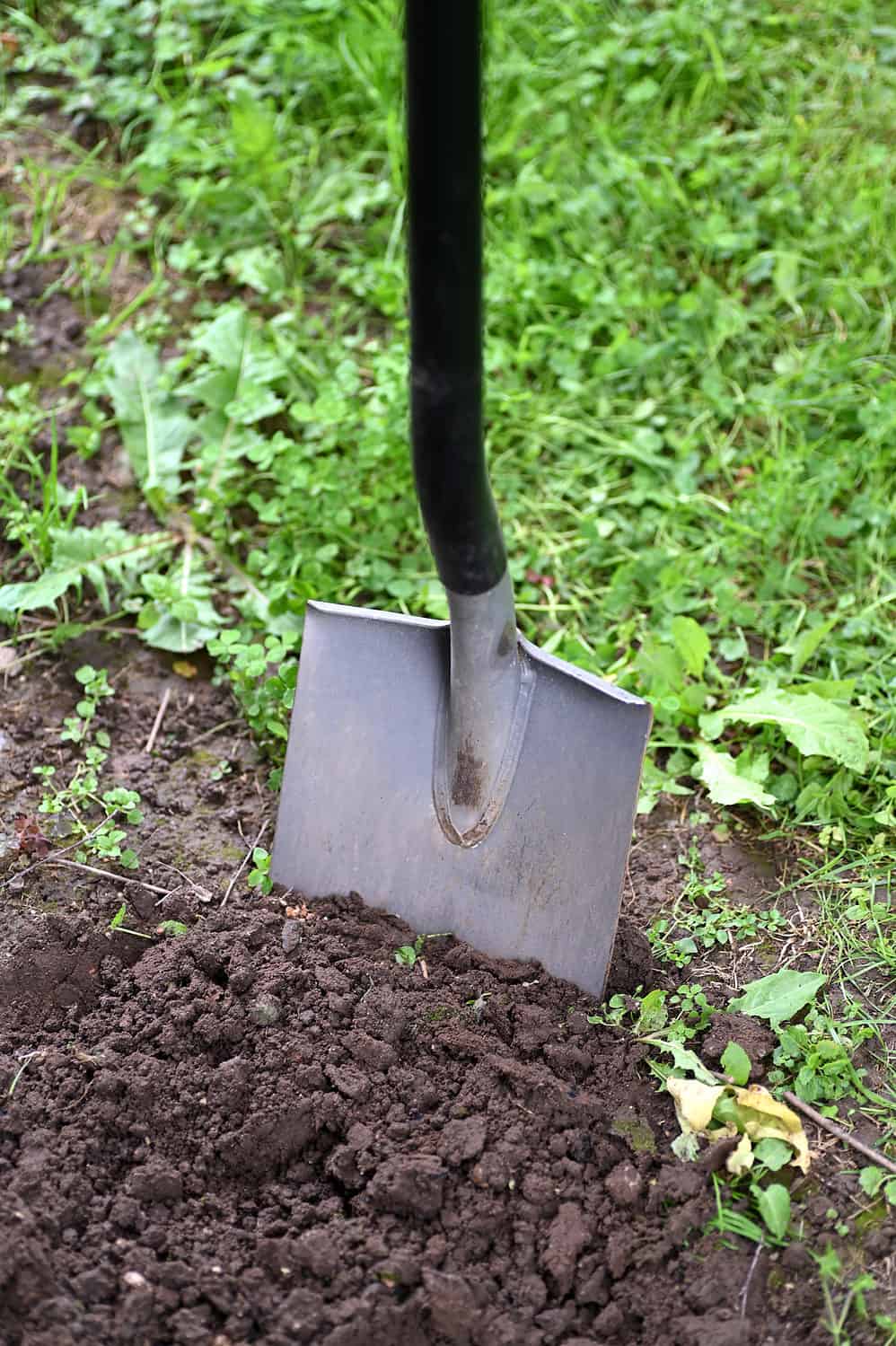 Shovel in freshly turned dirt in a garden