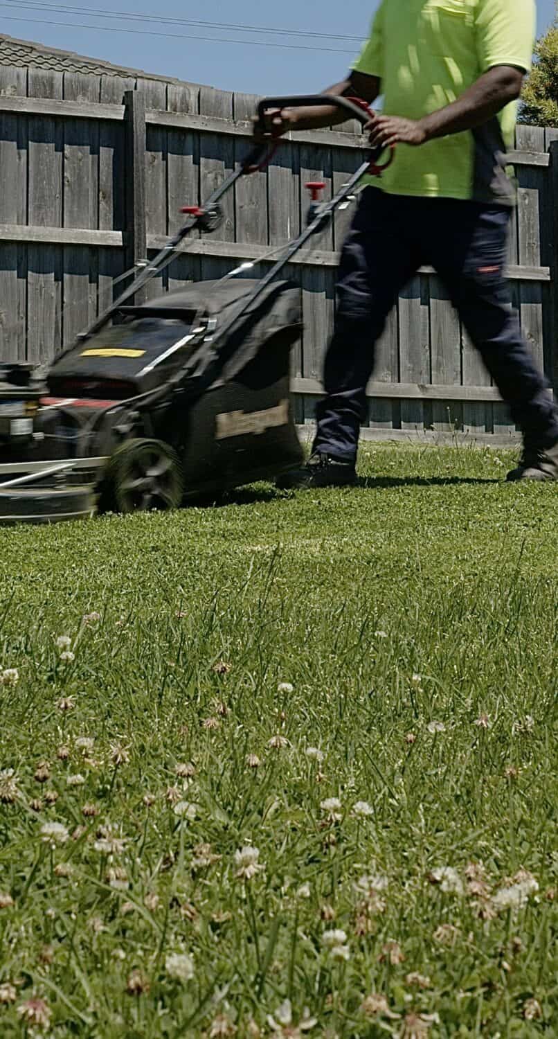 Professional lawn mowing and garden maintenance in Australia.