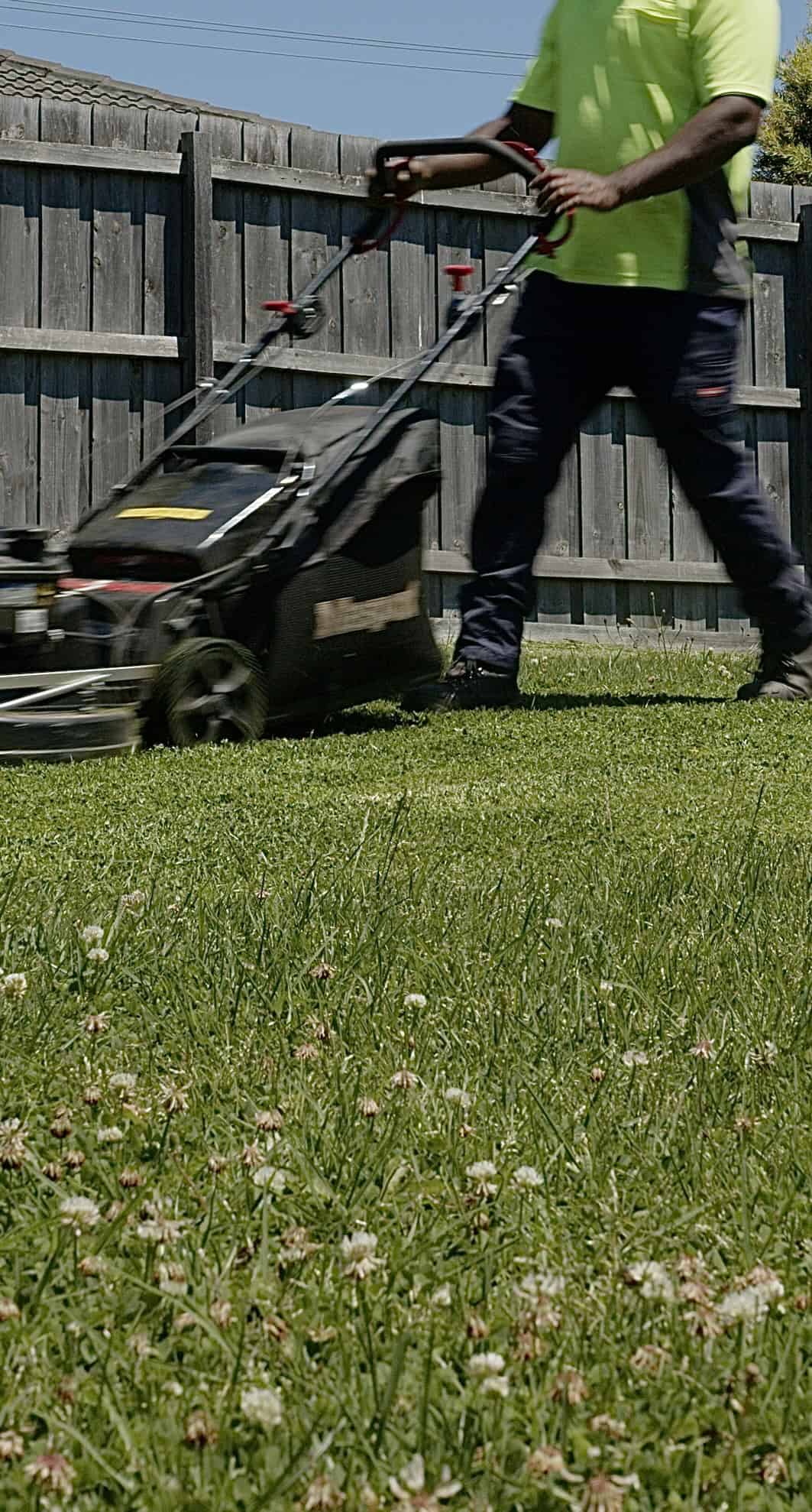 Professional lawn mowing and garden maintenance in Australia.