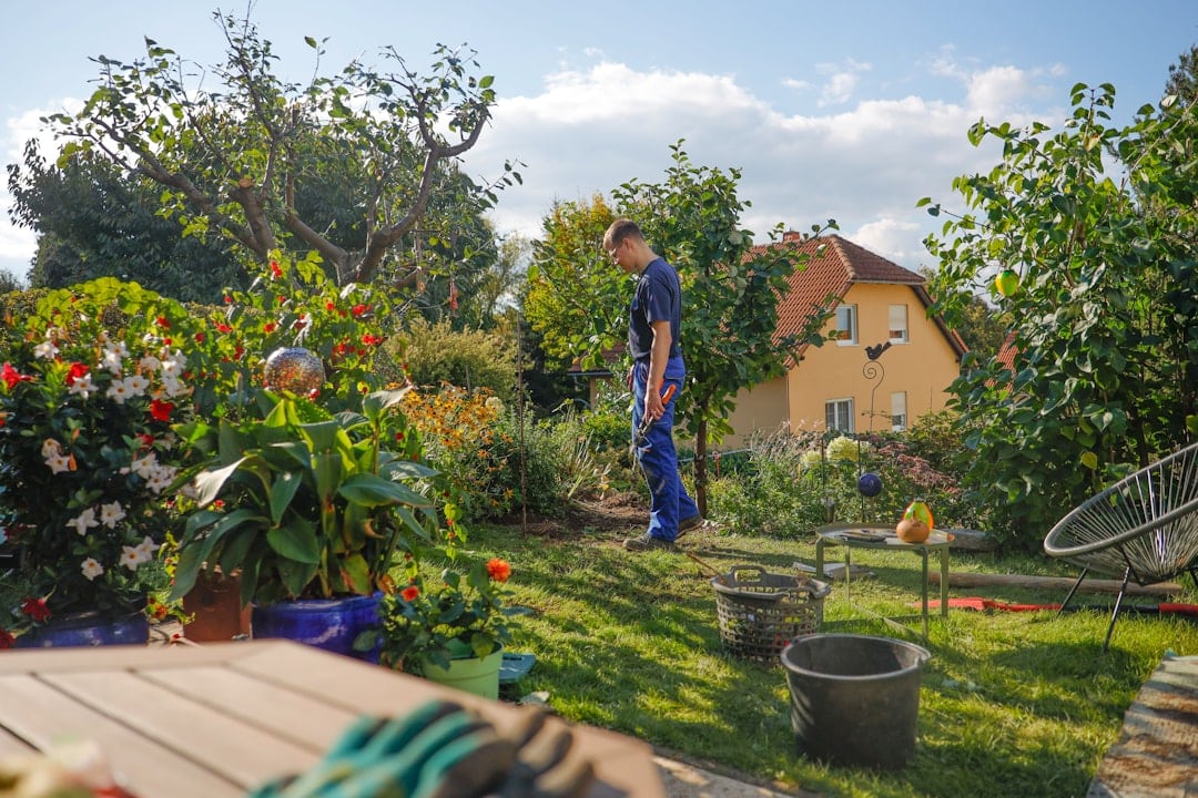 Young man working in a garden, trimming and maintaining outdoor plants and lawn areas.
