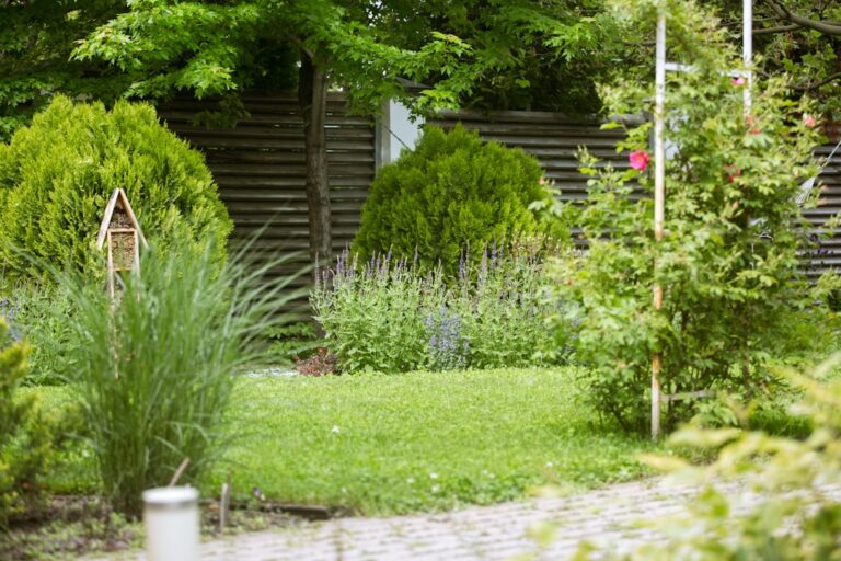 A peaceful backyard garden with green lawn, neat shrubs and layered planting in soft natural light.