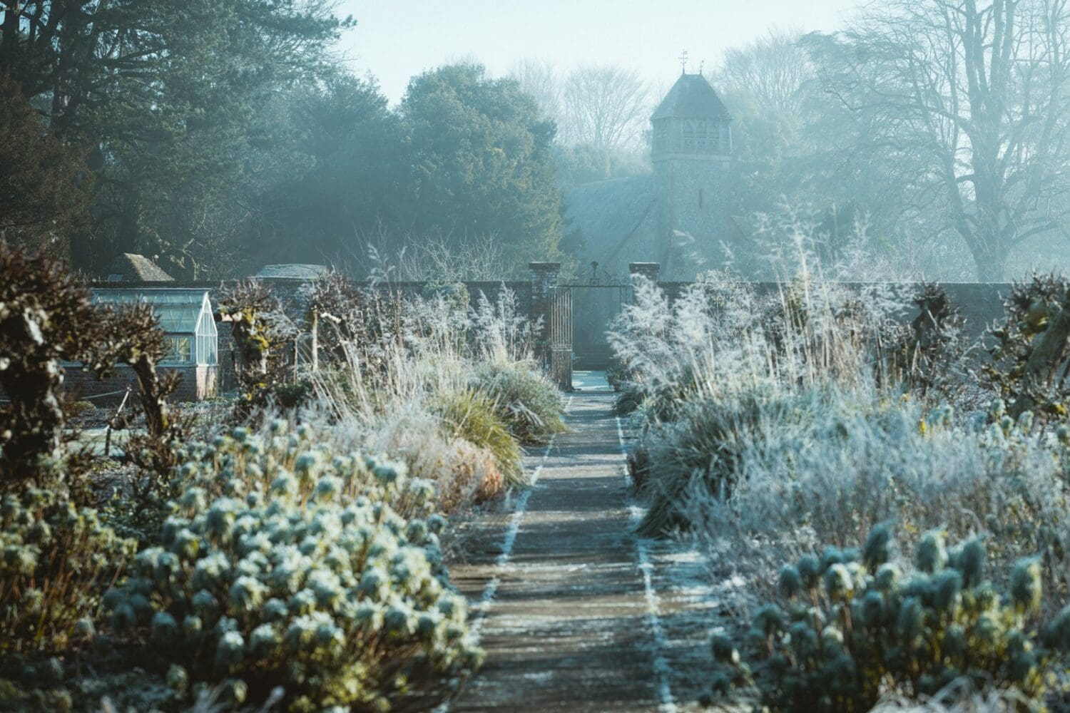 Winter garden in Victoria being prepared for the cold months