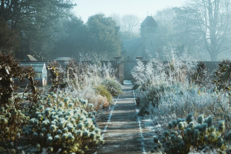 Winter garden in Victoria being prepared for the cold months