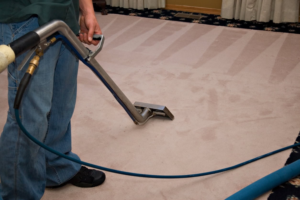 United Home Services professional carpet cleaner using steam cleaning equipment on a residential carpet