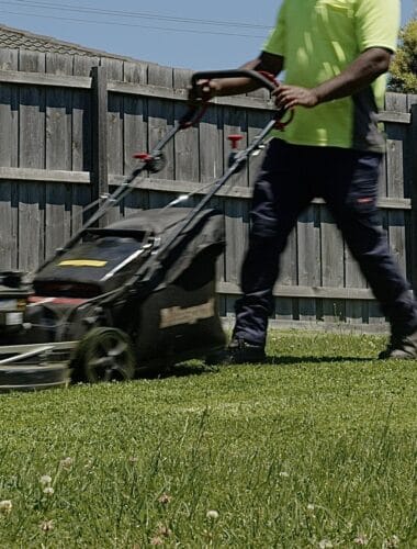Professional lawn mowing and gardening services in backyard with fence.