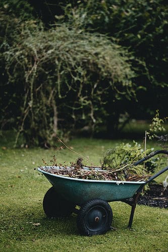 Wheelbarrow in a garden filled with tree trimmings